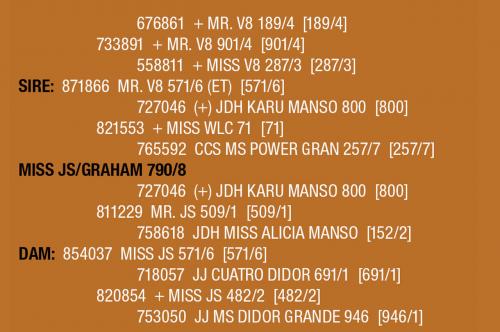 LOT 087 - MISS JS/GRAHAM 790/8