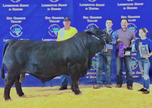 LOT 008 - 5  UNITS OF CONVENTIONAL SEMEN - MR. MUSCLE