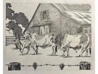 LOT 11 - Original Graphite - FAMILY