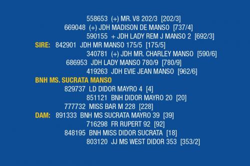 LOT 071 - B&G RACHEL’S JOE JOE MANSO / LOT 076 - BNH MS. SUCRATA MANSO (PICK 2)
