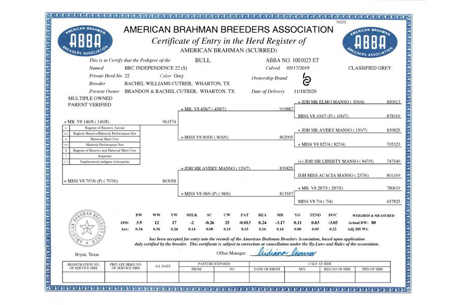 LOT 10 - MISS V8 428/7 (P)  X  BRC INDEPENDENCE 22 (S) - EMBRYO PACKAGE