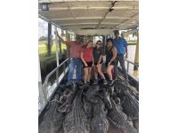 LOT 01 - South Louisiana Alligator Hunt Adventure