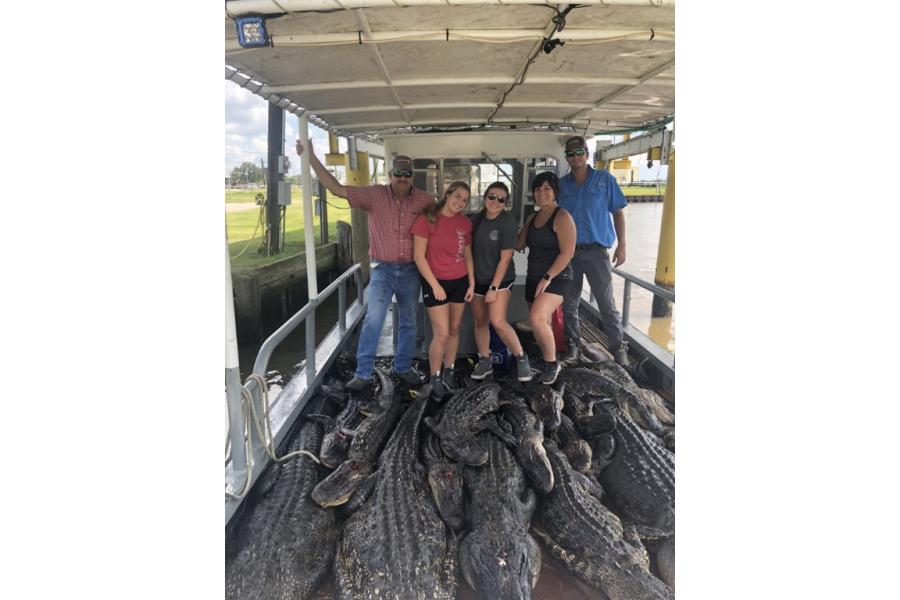 LOT 01 - South Louisiana Alligator Hunt Adventure