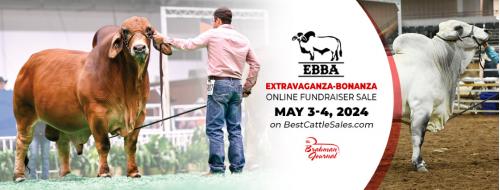 EBBA EXBO LIVE AND ONLINE FUNDRAISER SALE