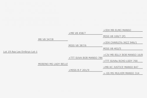 LOT 19 - LEE'S MISS NICOLE MANSO 106/0 - IVF Aspiration