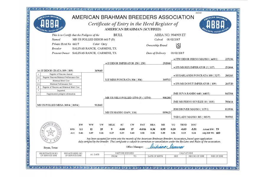 LOT 11 -MR US POLLED DIDOR 661/7 (S) x =MS US POLLED ALEXA 517/7 (P)