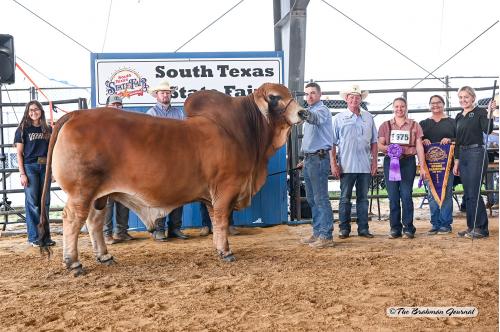 LOT 02 - POLLED FOUNDATION 11/1 (PP)