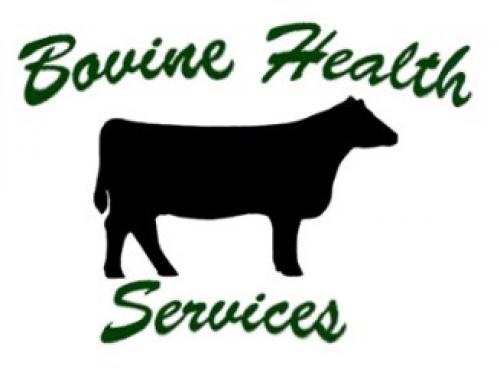 LOT 44 - BOVINE HEALTH SERVICES EMBRYO WORK