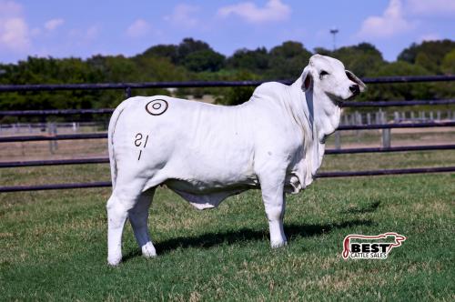 LOT 05 - MISS BER KENNEDY 81/1