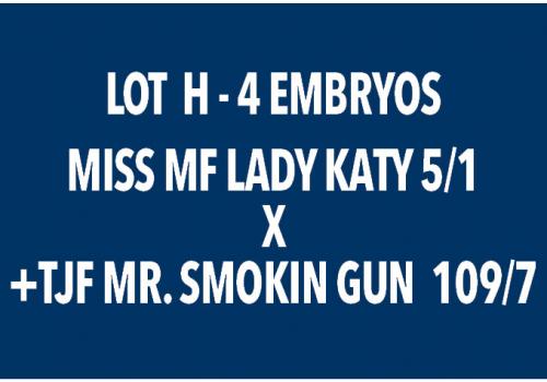 LOT H - 4 EMBRYOS - MISS MF LADY KATY 5/1 X +TJF MR. SMOKIN GUN 109/7