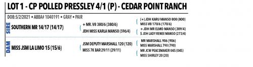 LOT 01 - CP POLLED PRESSLEY 4/1