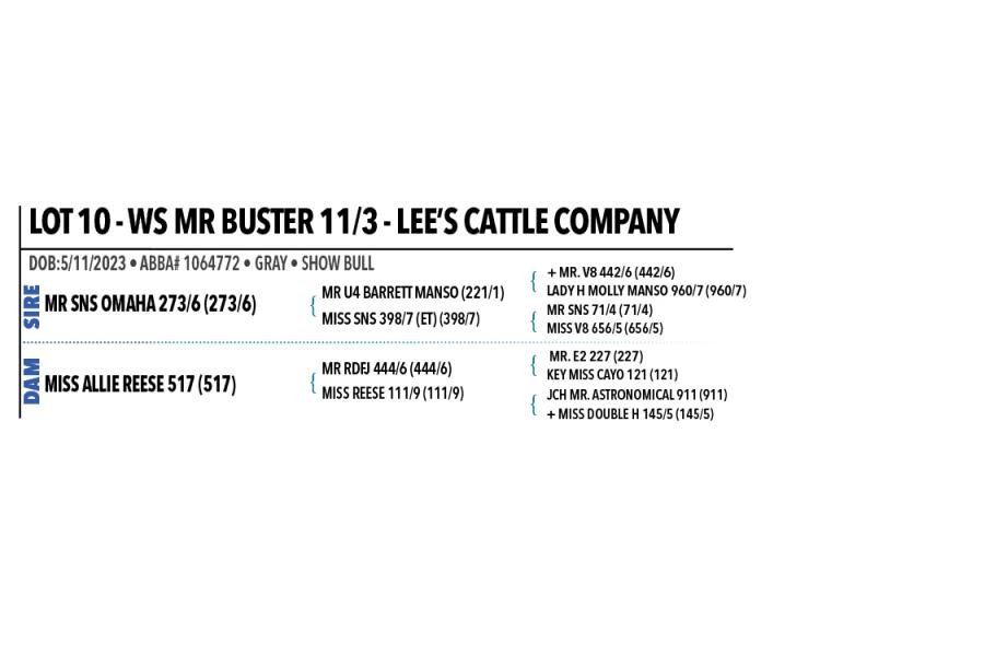 LOT 10 - WS MR BUSTER 11/3