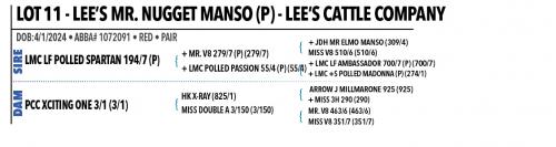 LOT 11 - LEE’S MR. NUGGET MANSO (P)