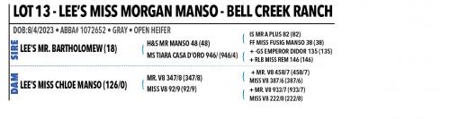 LOT 13 - LEE’S MISS MORGAN MANSO & 14 - CHOICE OR X THE MONEY OF LOTS CHOSEN (A)