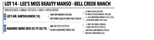 LOT 14 - LEE’S MISS BEAUTY MANSO & 13 - CHOICE OR X THE MONEY OF LOTS CHOSEN (B)