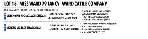 LOT 15 - MISS WARD 79 FANCY