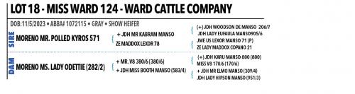 LOT 18 - MISS WARD 124