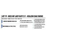 LOT 19 - MISS MF LADY KATY 5/1