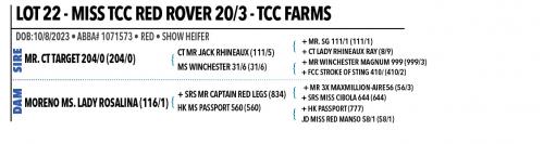 LOT 22 - MISS TCC RED ROVER 20/3