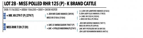 LOT 28 - MISS POLLED RHR 125 (P)