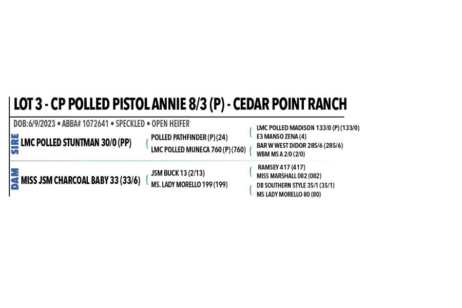 LOT 03 - CP POLLED PISTOL ANNIE 8/3 (P)