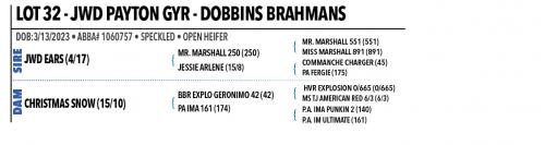 LOT 32 - JWD PAYTON GYR & 31 CHOICE OR X THE MONEY OF LOTS CHOSEN (B)