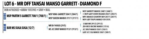 LOT 06 - MR DFF TANSAI MANSO GARRETT