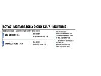 LOT 67 - MG TIARA TOLLY D’ORO 134/7