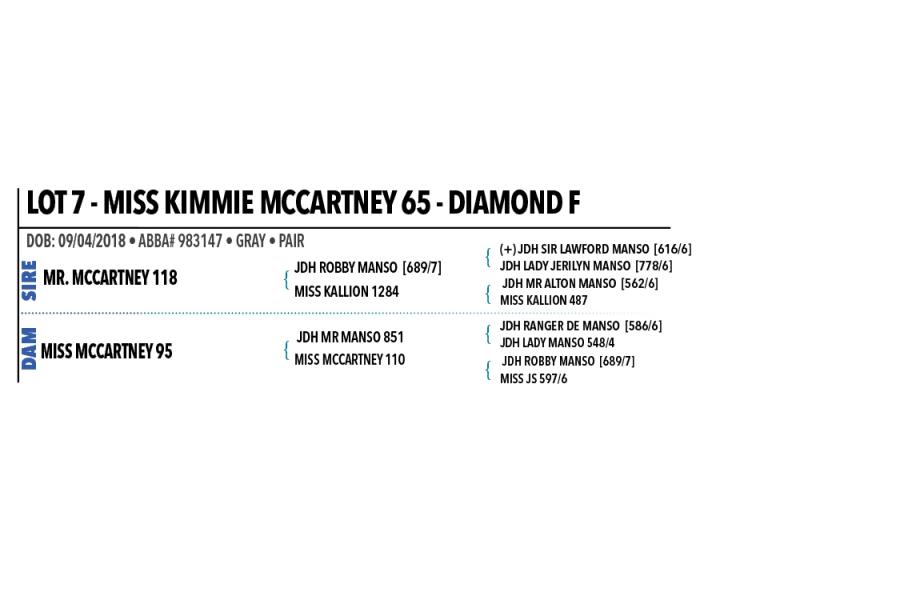 LOT 07 - MISS KIMMIE MCCARTNEY 65