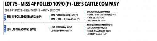 LOT 75 - MISS 4F POLLED 109/0 (P)