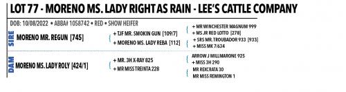 LOT 77 - MORENO MS. LADY RIGHT AS RAIN