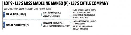 LOT 09 - LEE’S MISS MADELINE MANSO (P)