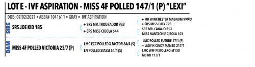 *LOT E - IVF ASPIRATION - MISS 4F POLLED 147/1 (P) “LEXI”