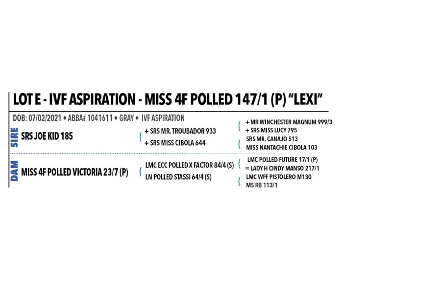 *LOT E - IVF ASPIRATION - MISS 4F POLLED 147/1 (P) “LEXI”