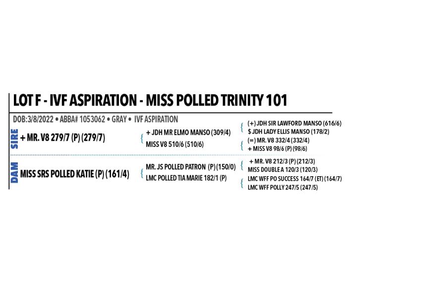 *LOT F - IVF ASPIRATION - MISS POLLED TRINITY 101