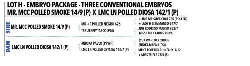 *LOT H - EMBRYO PACKAGE - THREE CONVENTIONAL EMBRYOS MR. MCC POLLED SMOKE 14/9 (P) X LMC LN POLLED DIOSA 142/1 (P)