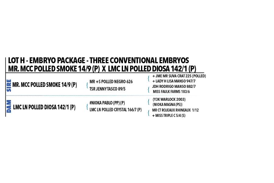 *LOT H - EMBRYO PACKAGE - THREE CONVENTIONAL EMBRYOS MR. MCC POLLED SMOKE 14/9 (P) X LMC LN POLLED DIOSA 142/1 (P)