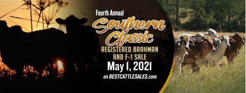 2021 SOUTHERN CLASSIC REGISTERED BRAHMAN AND F-1 SALE