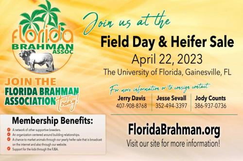 FLORIDA BRAHMAN ASSOC-FIELD DAY & HEIFER SALE