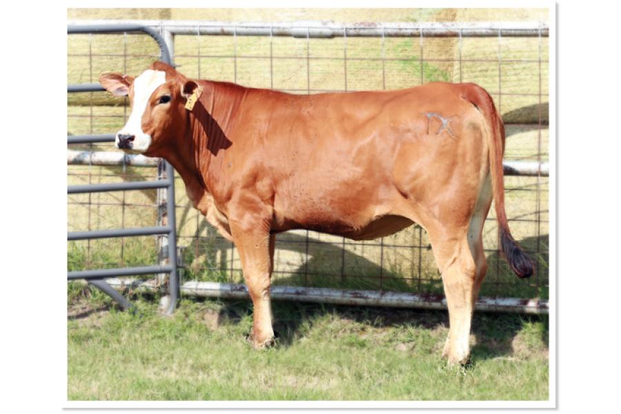 LOT 29 - RR LEONA 7L