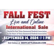 2024 FALL FEST LIVE SALE