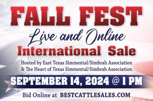 2024 FALL FEST LIVE SALE