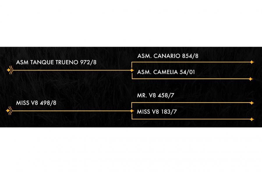 LOTE 01 - MISS CHIAPANECA 302/2 IA