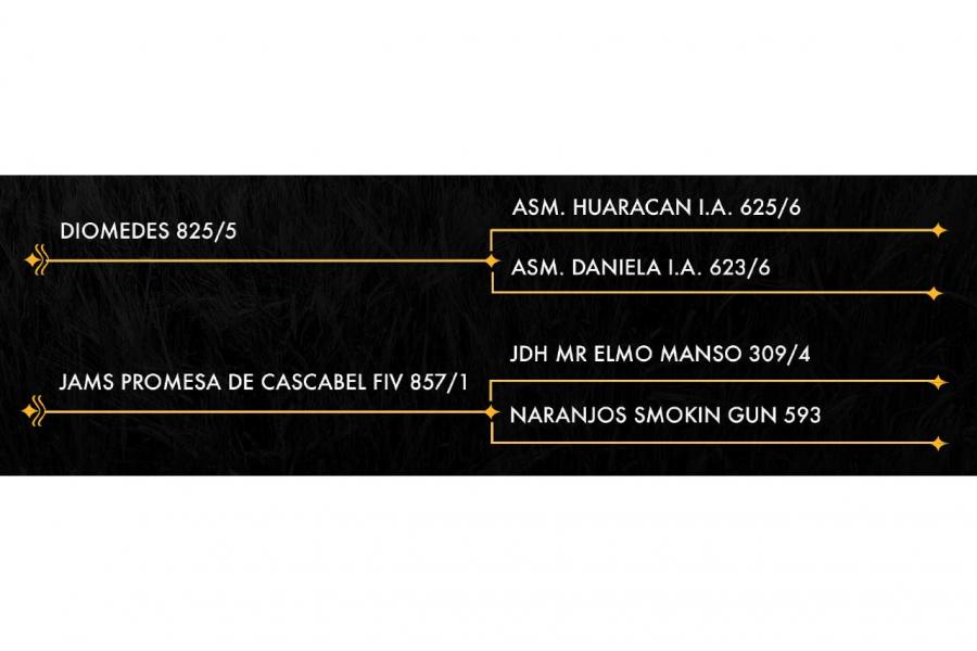 LOTE 12 - LA DIABLA 135/23 FIV