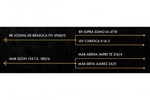 LOTE 23 - MPG MISS HG AMANKAYA 216/3 FIV