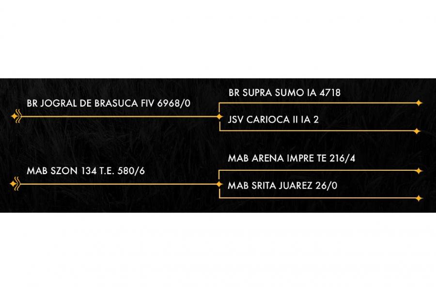 LOTE 23 - MPG MISS HG AMANKAYA 216/3 FIV