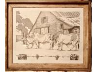 LOT 11 - Original Graphite - FAMILY