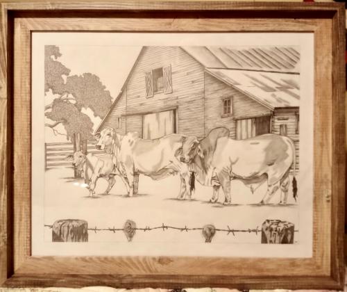 LOT 11 - Original Graphite - FAMILY