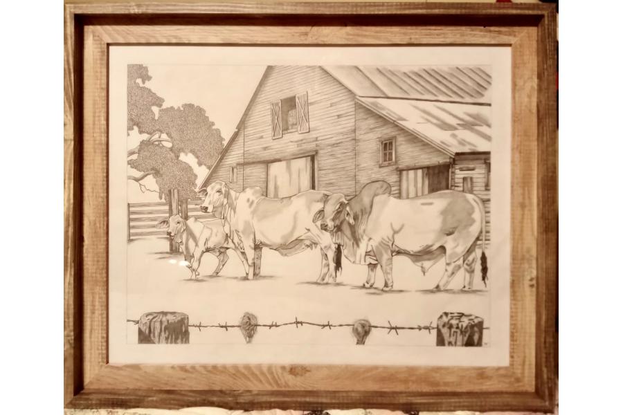 LOT 11 - Original Graphite - FAMILY