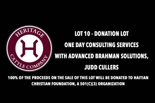LOT 10 - DONATION LOT  - ONE DAY CONSULTING SERVICES WITH ADVANCED BRAHMAN SOLUTIONS, JUDD CULLERS